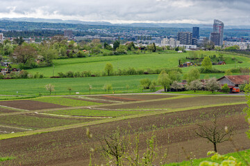 Fototapeta na wymiar Scenic view of agriculture vegetable field at City of Zürich district Schwamendingen on a rainy spring day. Photo taken April 28th, 2023, Zurich, Switzerland.