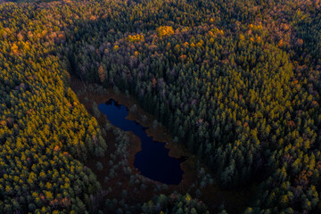 Fototapeta na wymiar Small lake in the middle of forest in Poland, sunset time, national park, drone aerial nature photography