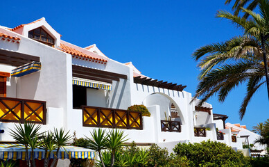 Tropical beach resort houses and exotic plants against blue sky in Tenerife, Canary Islands,...