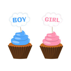 gender cupcake party. Boy or Girl