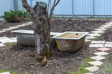 Old cast-iron bathtubs for collecting rainwater and watering in drought.