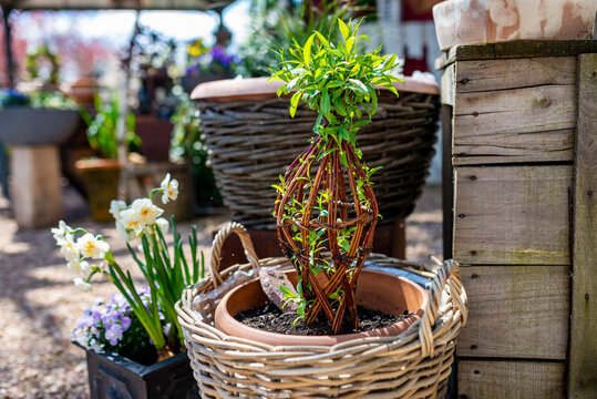 Basket with flowers in pots in the garden