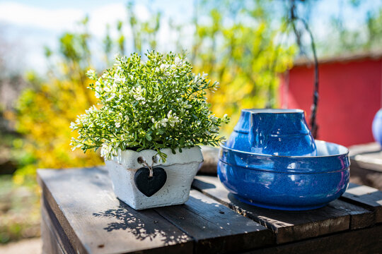 Still life with flowers in the garden and blue dishes on a wooden table in the garden