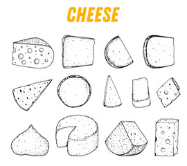 Cheese sketch, hand drawing elements. Hand drawn sketch. Retro food background. Different cheese kinds . Dairy farm products cheese.
