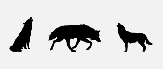 isolated black silhouette of a wolf , vector collection