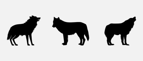 isolated black silhouette of a wolf , vector collection