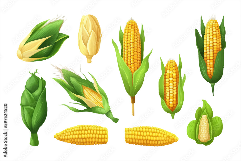 Poster cartoon kernels maize. isolated on background. cartoon . generative ai