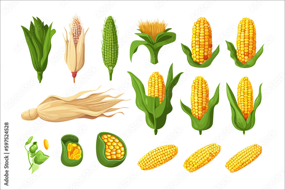 Poster cartoon kernels maize. isolated on background. cartoon . generative ai