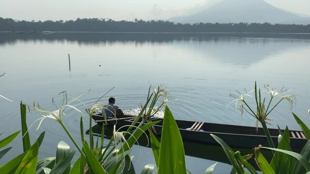Plant leaves obscure the view of l the ake boatman loading wire fish trap on his wooden row boat.