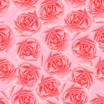 Pattern with pink roses. Seamless pattern with flowers. Delicate background with painted rose. Background with rose . Watercolor rose illustration.