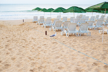 Beautiful chic sea - beach, umbrellas, summer. Nessebar, Bulgaria.