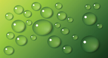 Large beautiful drops of transparent rain water on a green leaf macro. Drops of dew in the morning glow in the sun. Beautiful leaf texture in nature. Natural background. Vector file