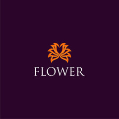 
A glowing flower illustration logo on a blue background