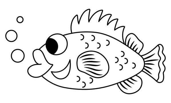 Vector black and white grouper or perch icon. Under the sea line illustration with cute funny seabass. Ocean animal clipart. Cartoon underwater or marine clip art or coloring page. Redfish picture.