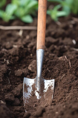 shovel digs the soil in the garden, Generative AI