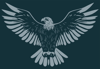 drawing vector graphics eagle with spread wings on a dark background
