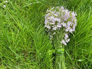 Blumenstrauß mit Wildblumen liegt auf der Wiese