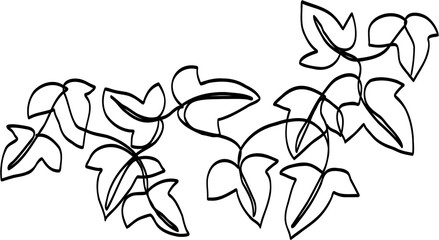 simplicity ivy continuous freehand drawing.