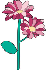 Two pink flowers