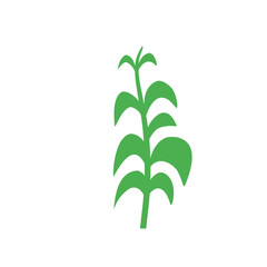 Branch Leaf vector Recolorable