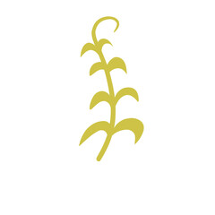 Branch Leaf vector Recolorable