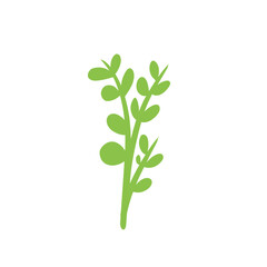 Branch Leaf vector Recolorable