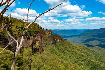 Fototapeta na wymiar Blue Mountains National Park, in the Greater Sydney Region New South Wales, Australia.