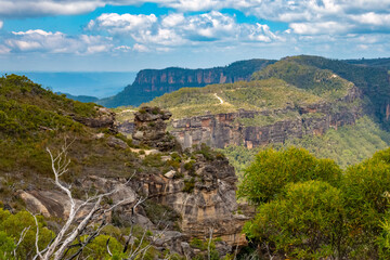 Fototapeta na wymiar Blue Mountains National Park, in the Greater Sydney Region New South Wales, Australia.