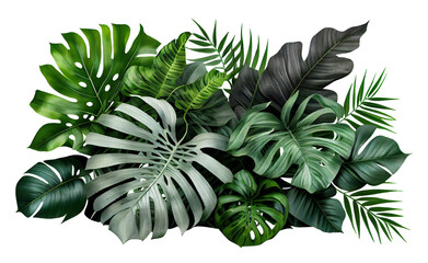 Tropical leaves foliage plant bush floral arrangement on transparent background, created with generative AI
