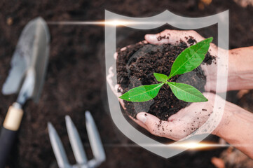 nature, leaf, plant, earth, growth, grow, protection, eco, environmental, global. a plant to prepare seeding for protection environmental. leaf and nature is going to growth eco global system.