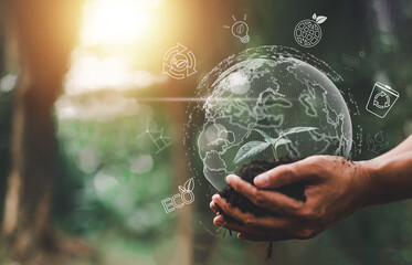 plant, earth, climate change, grow, leaf, eco, environmental, recycle, global, hand, ecosystem....