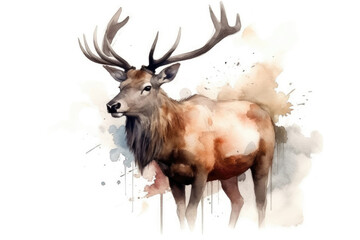 Beautiful Watercolor Drawing Elk On A White Background, Minimalist Style. Generative AI