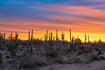 Vibrant Desert Sunrise Landscape Near Phoenix Arizona 