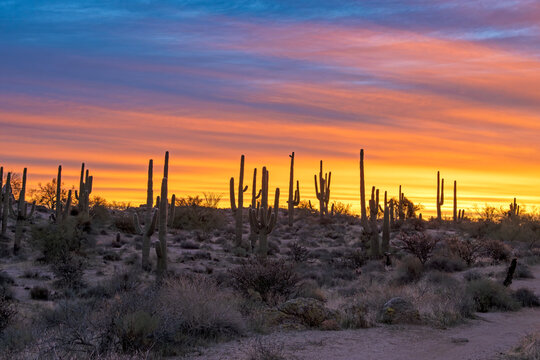 Vibrant Desert Sunrise Landscape Near Phoenix Arizona © Ray Redstone