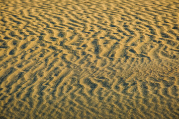 dune sand beach pattern texture background 