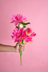 Fototapeta premium Hand holding beautiful lotus flower isolate on pink colour background