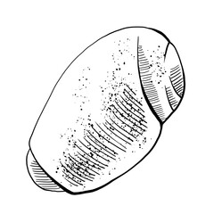 Graphic drawing of a bread product. Baton for printing on the packaging of bakery products, bakeries, restaurants, website design, kitchen design printing. Line illustration vector.