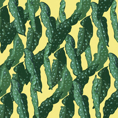 Ilustracja szablon zielone liście na żółtym tle, kompozycja roślinna. - obrazy, fototapety, plakaty