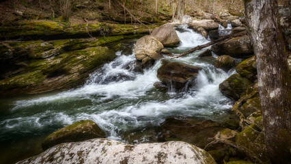 stream in the forest