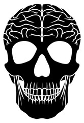 human skull with brain vector