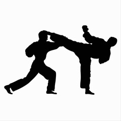 boxing, taekwondo, karate two black silhouettes of men on a white background, athletes, sport vector © MJD_Studio
