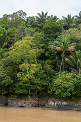 Fototapeta na wymiar Rocks, amazonian river and jungle in the area of colombian amazon