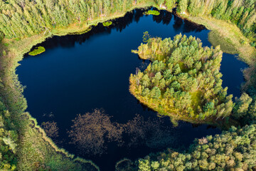 Aerial view of a round lake in a wild forest, an island in the middle of the lake overgrown with forest
