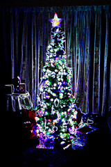 Obraz na płótnie Canvas christmas tree on a dark background