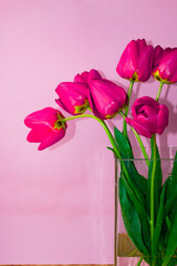 Bouquet of pink tulips in vase on pink background