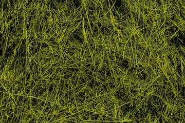 Dry straw, hay straw yellow background, hay straw texture.
