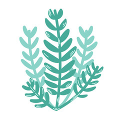 Green algae leaves. Botanical illustration of colored seaweed. Modern hand drawn flat illustration on white background.