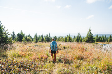 A man with a backpack on his back goes along a trail into the distance of the forest, a mountain trail for hiking, hiking in a mountainous area, trekking to the summit plateau.