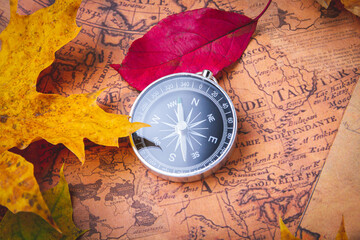 Traveler's compass on map in bright multi-colored autumn leaves. Navigation in autumn.
