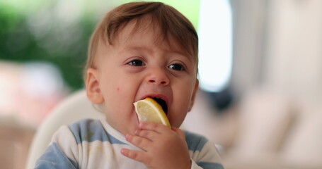 Baby trying lemon for first time, infant toddler face expression grimacing